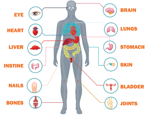 benefits of living fuel