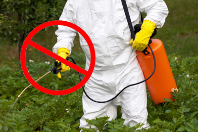 no chemicals in Living Fuel