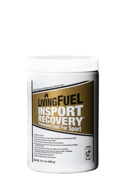 InSportRecovery®