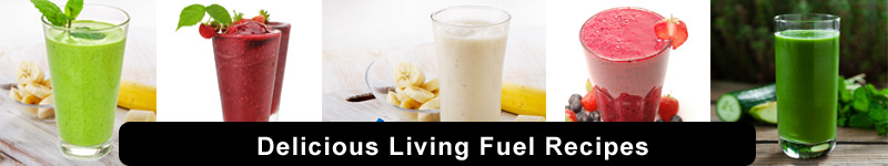 living fuel recipes